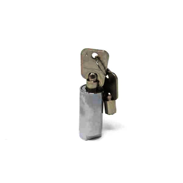 Plug Lock & 2 Keys – American Changer